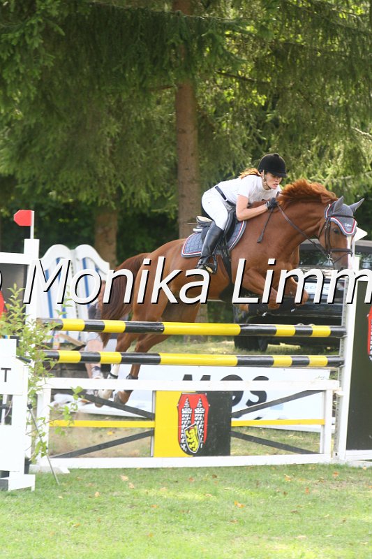 308M0686_Lucca_Spring Mx.JPG